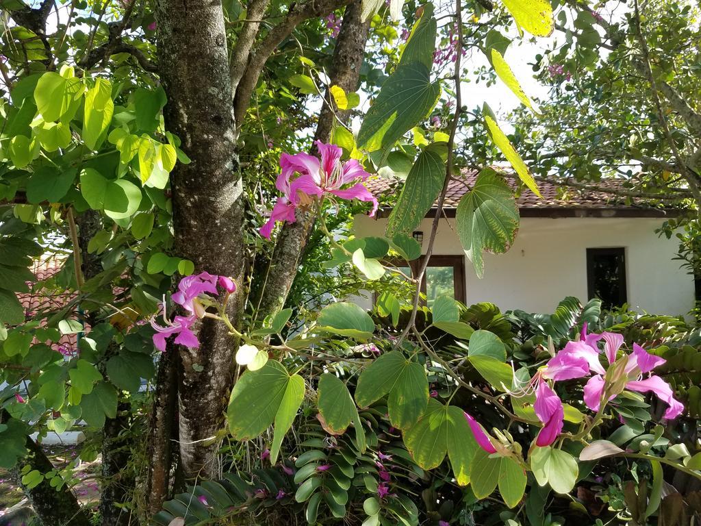 Holiday Home At Rio Mar Rio Grande Exterior photo